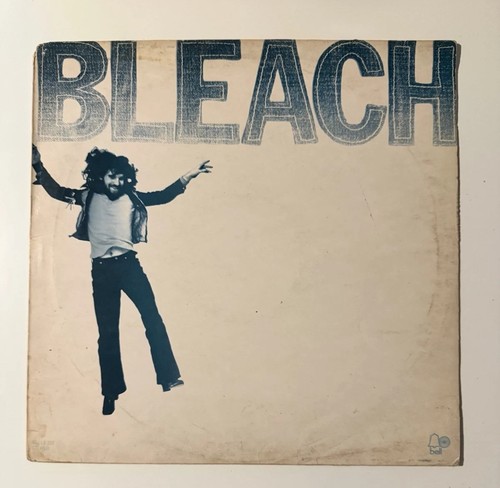 Raymond froggatt bleach - raymond,