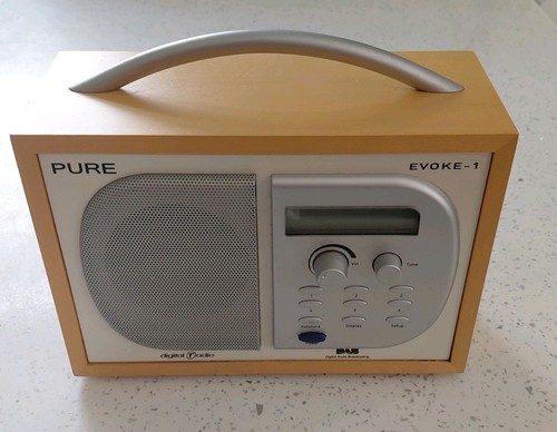 Great pure evoke dab radio - great,