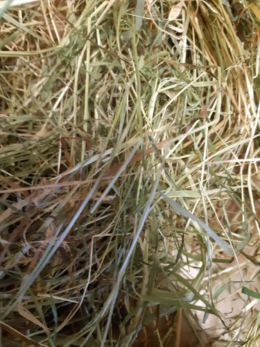 Glebe farm hay natural - glebe, meadow