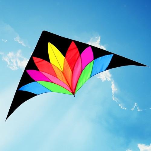 Giant delta kite huge - giant,