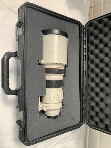 Canon 300mm 8l - canon, f/2.8l