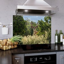 Glass Backsplash Kitchen