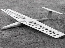 Anymouse Aerobatic Sailplane