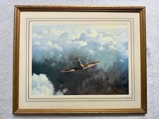 Gerald Coulson Evening Flight