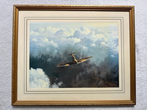 Gerald coulson evening flight - coulson,