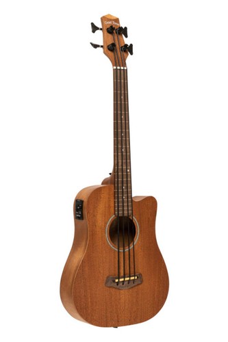 Gold tone electro acoustic - gold, electro-acoustic