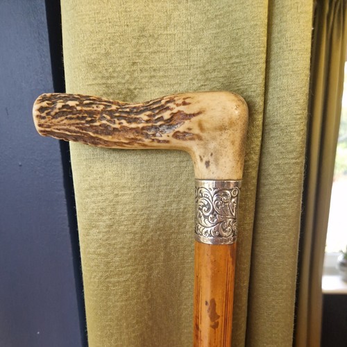 Antique walking stick silver - antique,