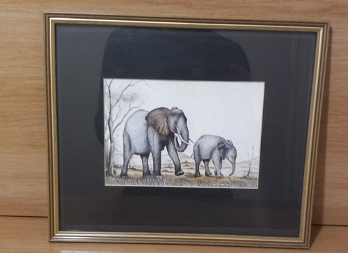 David cubbin african - african, wildlife