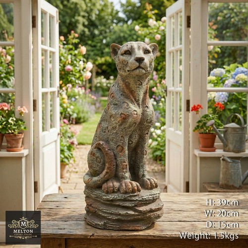 Leopard cheetah garden - leopard,