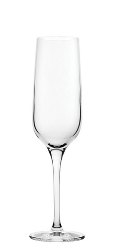 Champagne wine glass refine - champagne,