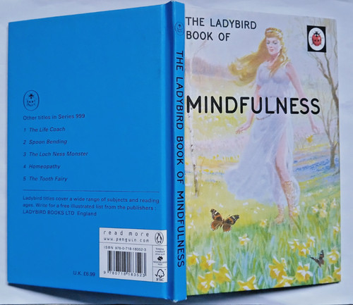 Vintage ladybird books - vintage,