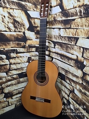 Paco castillo 215fr - paco, flamenco
