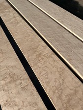 BIRDSEYE MAPLE bass guitar