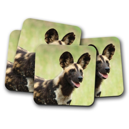Set african wild dog - -,