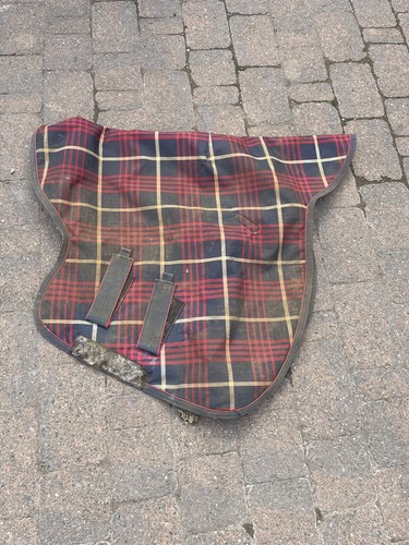 Large shires light medium - large, light/medium