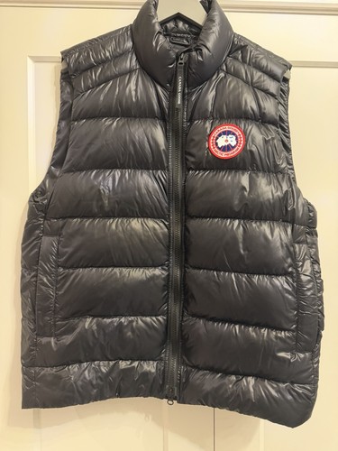Canada goose black body - goose,