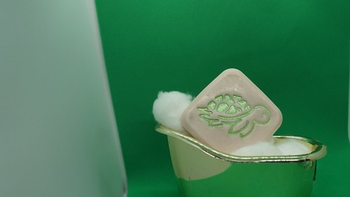 Cute turtle soap stamp - ,