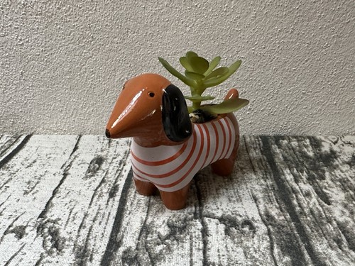 Sausage dog dachshund mini - dachshund,