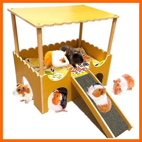 Large wooden guinea - wooden, pig