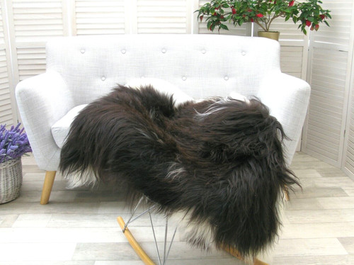Brown white icelandic - brown,