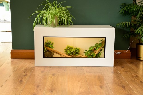 3ft modern white reptile - modern,