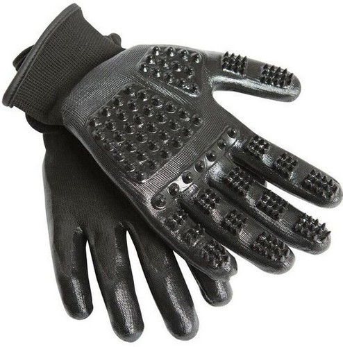 Lemieux hands grooming - hands, on