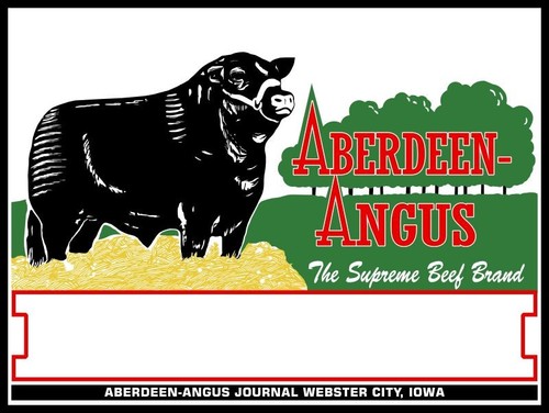 Aberdeen angus cattle new - angus,