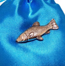 Tench Fish Fishing English