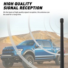 13inch Radio Antenna Short