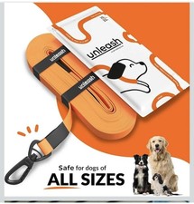 Dog training leash recall - training,
