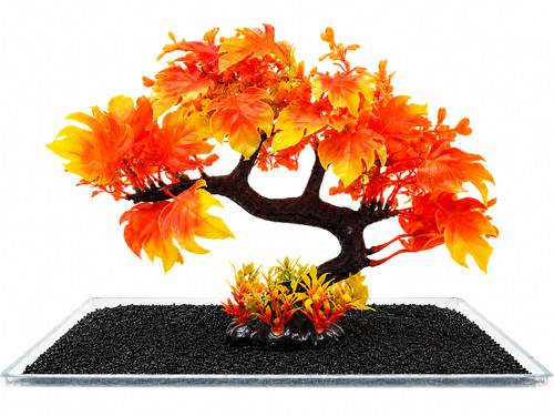 Aquarium tree ornament fish - aquarium,