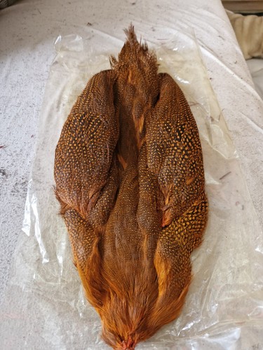 Guinea fowl fly tying feathers - fowl,