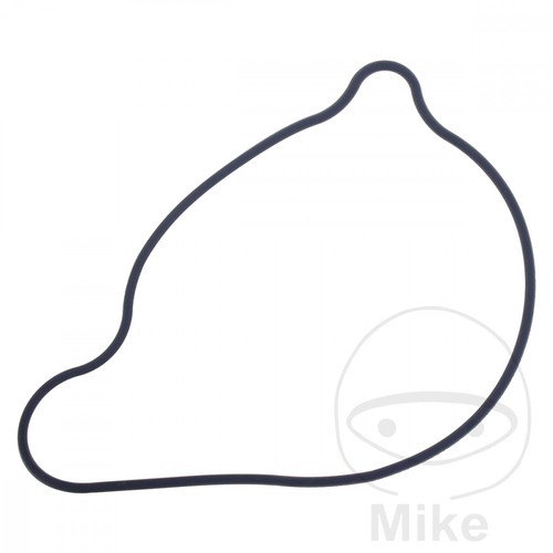 Athena water pump - athena, gasket