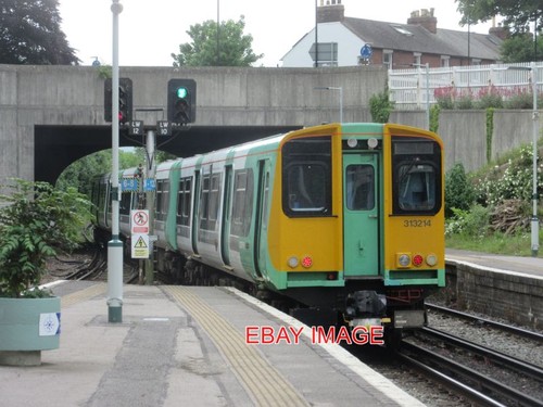 Photo southern emu 313214 at - ,