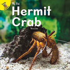 Hermit Crab (My Pet)