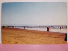 Pismo Beach California clam