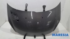 Bonnet Peugeot 206+ T3E 7901Q9