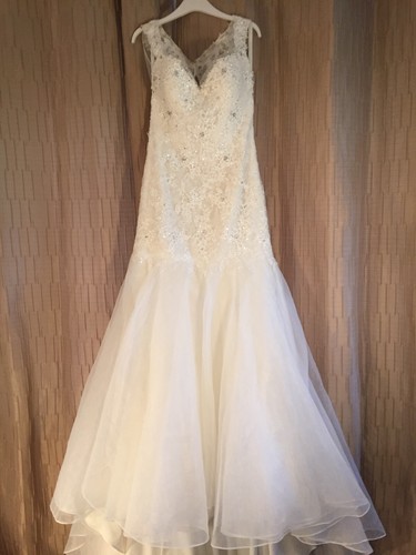 Sophia tolli ivory - tolli,