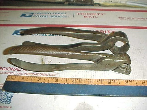 Antique pinchers nippers hog - &,