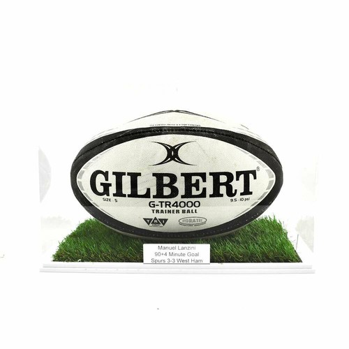 Rugby ball landscape display - rugby,