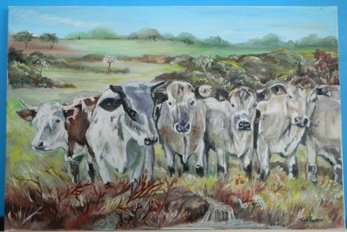 Original oil painting cows - oil,