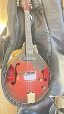 Electric Acoustic Mandolin 