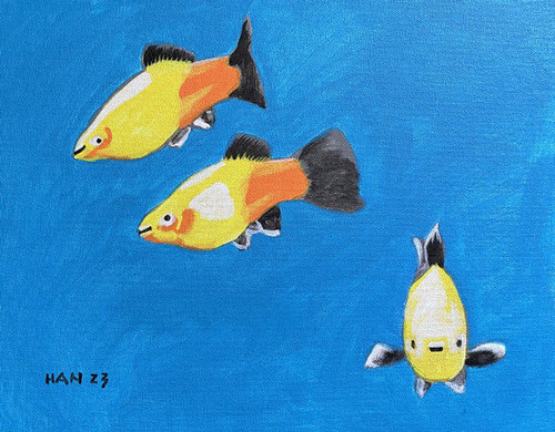 Sunset platy fish tank - platy,