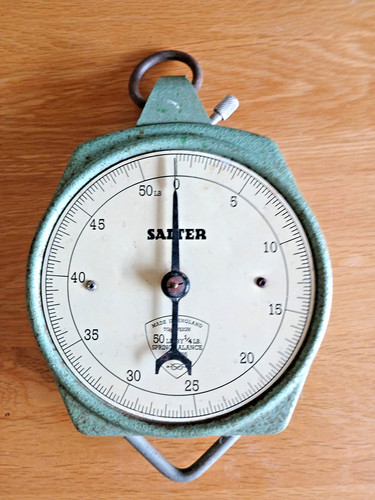 Vintage salter 50lbs hanging - salter,