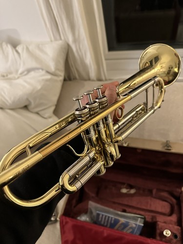 Jupiter professional - xo,