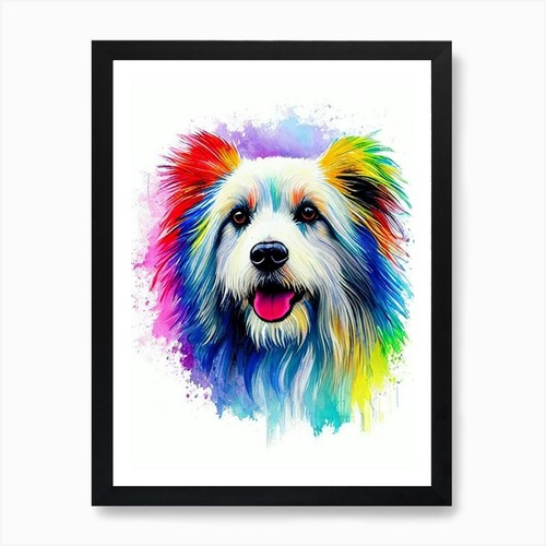 Polish lowland sheepdog - lowland,