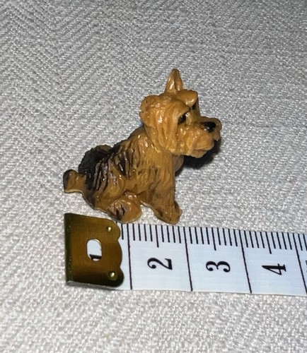 Yorkshire terrier micro - terrier,