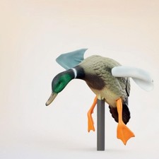 Mallard Ducks Models Flexible