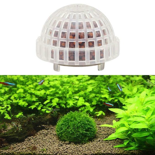 Natural mineral aquatic - aquatic, moss