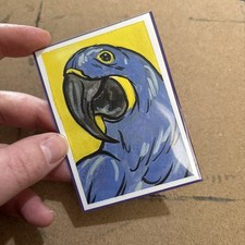 Aceo parrot hyacinth macaw - aceo,